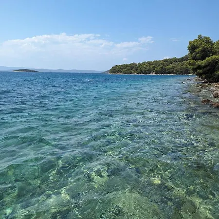 Lisica