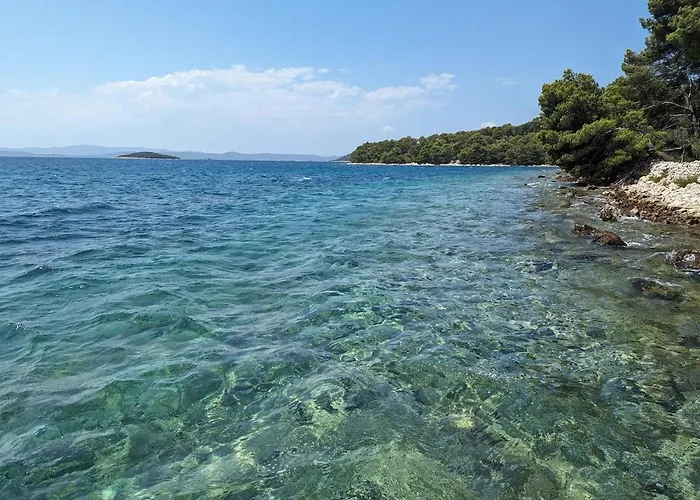 Lisica