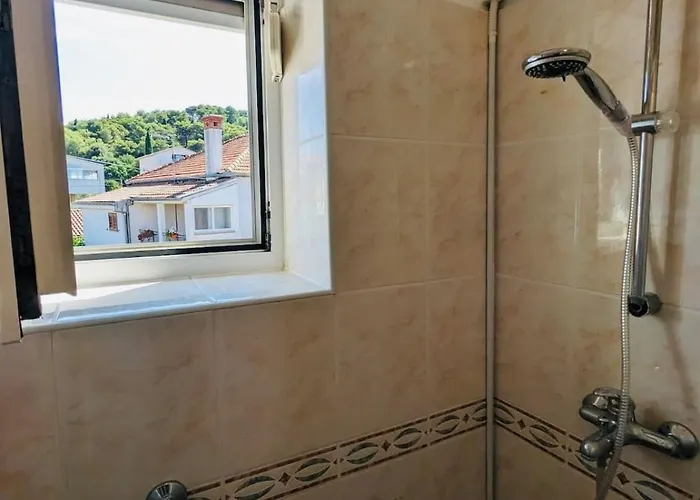 Lisica Apartment *