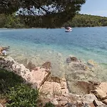 Lisica * Kukljica